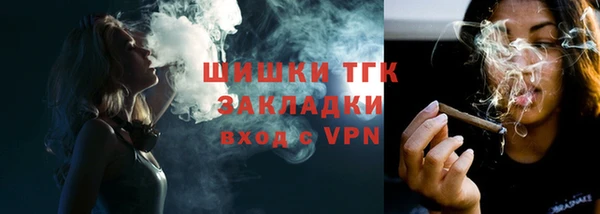 сатива Аркадак