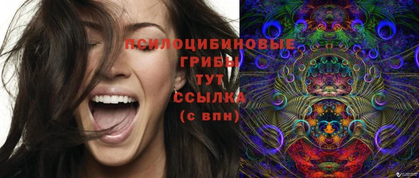 Альфа ПВП Баксан