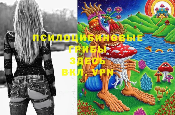 сатива Аркадак